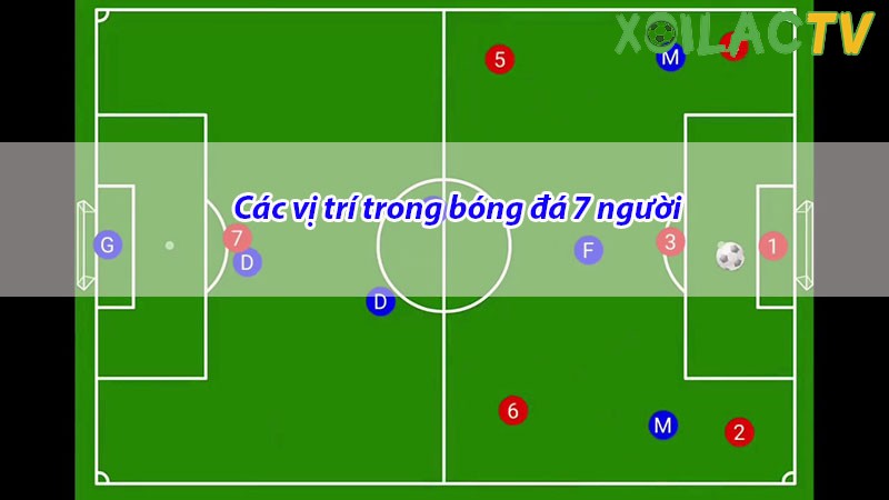 Vị trí sân 7 là vị trí của cầu thủ chạy cánh phải trong bóng đá.